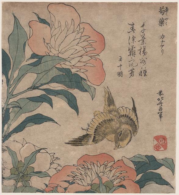 Shakuyaku kana ari by Katsushika Hokusai