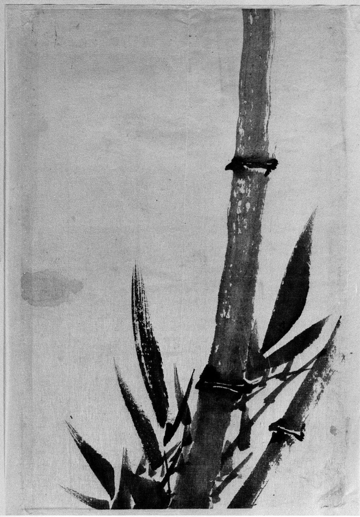 Bamboo by Katsushika Hokusai