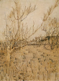 Orchard with Arles in the Background by Vincent van Gogh