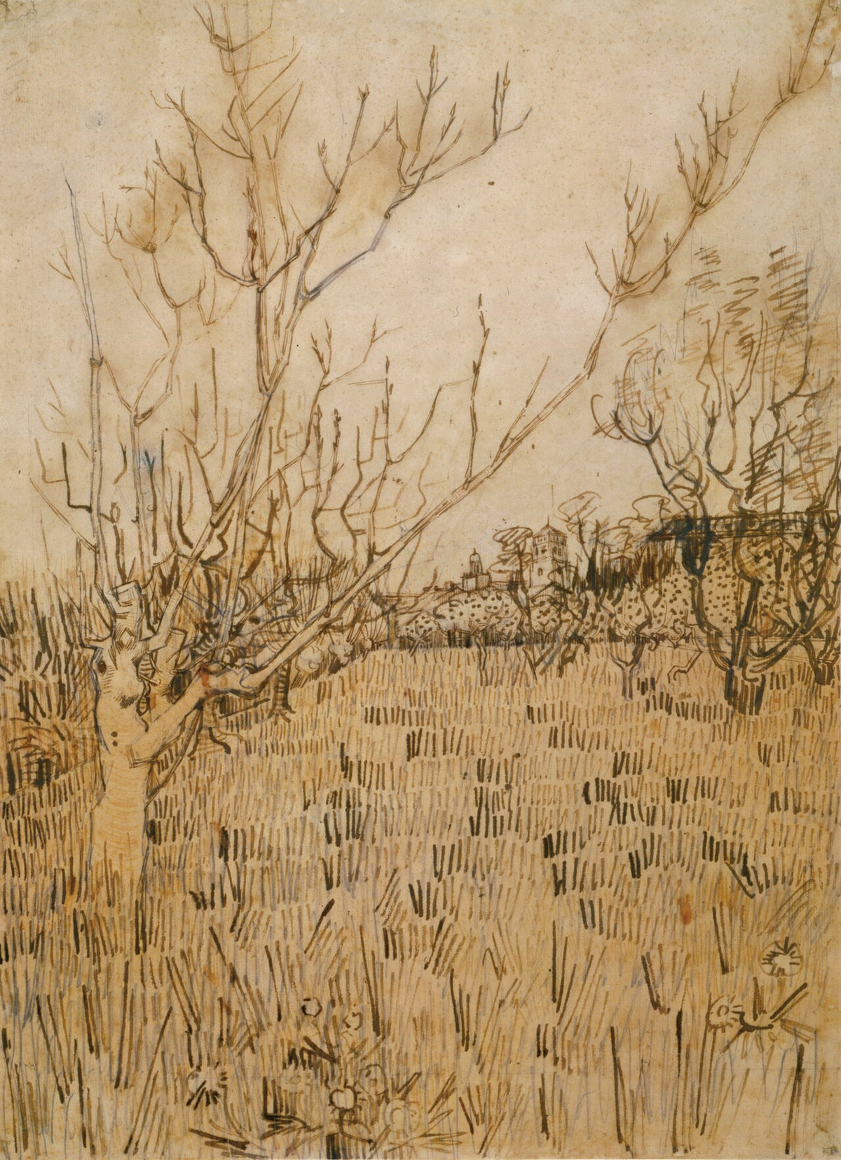 Orchard with Arles in the Background by Vincent van Gogh