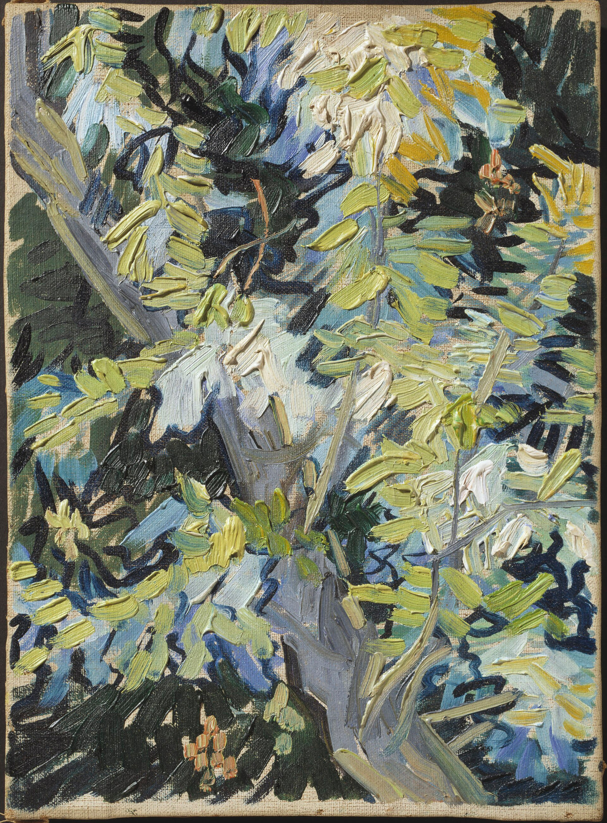 Blossoming Acacia Branches by Vincent van Gogh