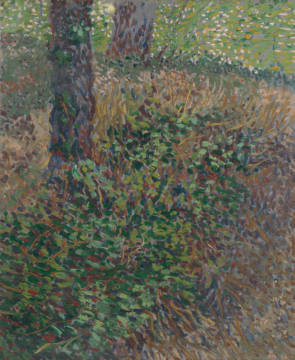 Undergrowth by Vincent van Gogh