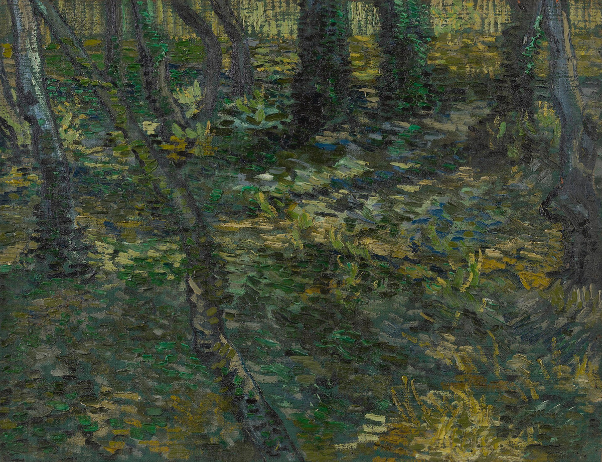 Undergrowth by Vincent van Gogh