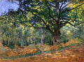 The Bodmer Oak, Fontainebleau Forest by Claude Monet