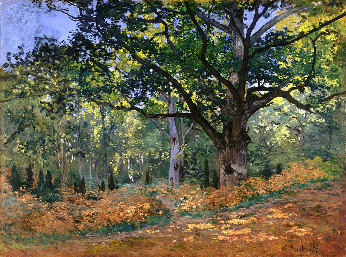 The Bodmer Oak, Fontainebleau Forest by Claude Monet