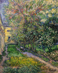 The garden at the asylum at Saint-Rémy by Vincent van Gogh
