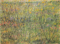 Pasture in Bloom by Vincent van Gogh