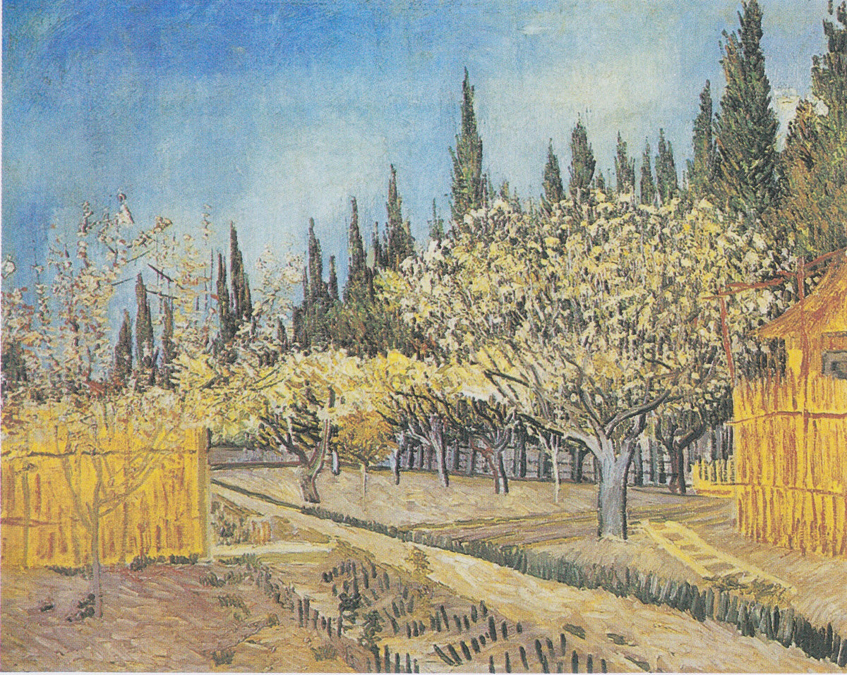 Orchard in Blossom, Bordered by Cypresses by Vincent van Gogh