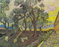The garden of St. Paul's Hospital by Vincent van Gogh