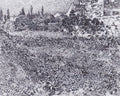 Garden with flowers by Vincent van Gogh