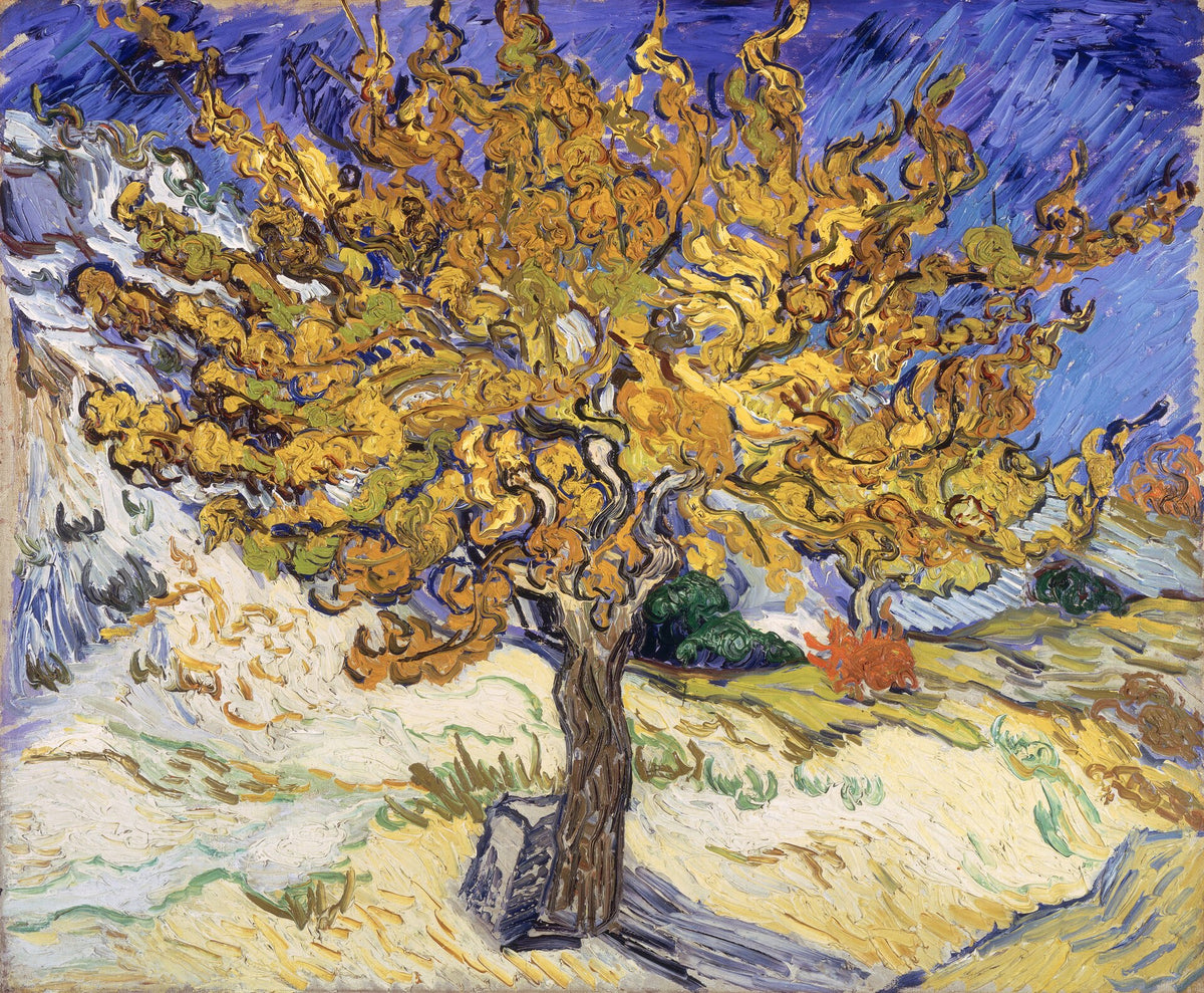 The Mulberry Tree by Vincent van Gogh