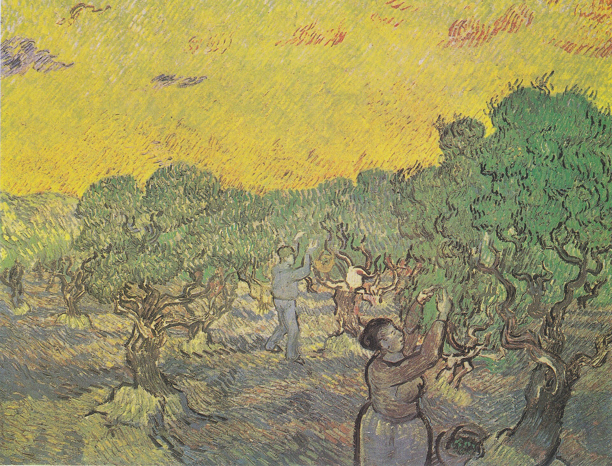 Olive Grove with Picking Figures by Vincent van Gogh