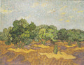 Olive Trees by Vincent van Gogh