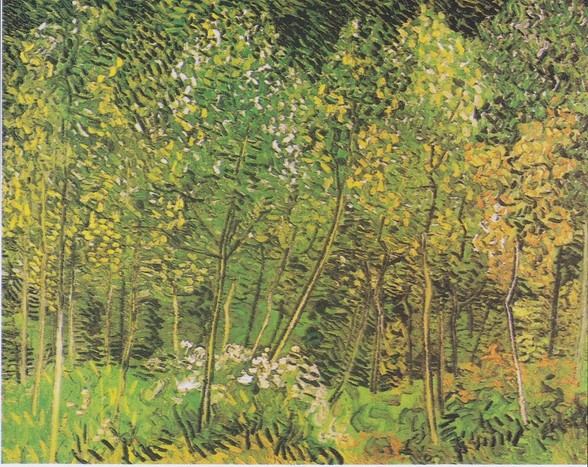 The Grove by Vincent van Gogh
