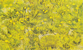 Meadow with yellow flowers by Vincent van Gogh