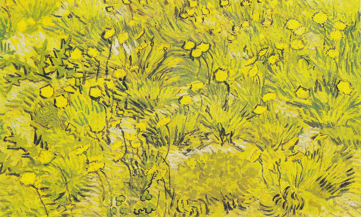 Meadow with yellow flowers by Vincent van Gogh