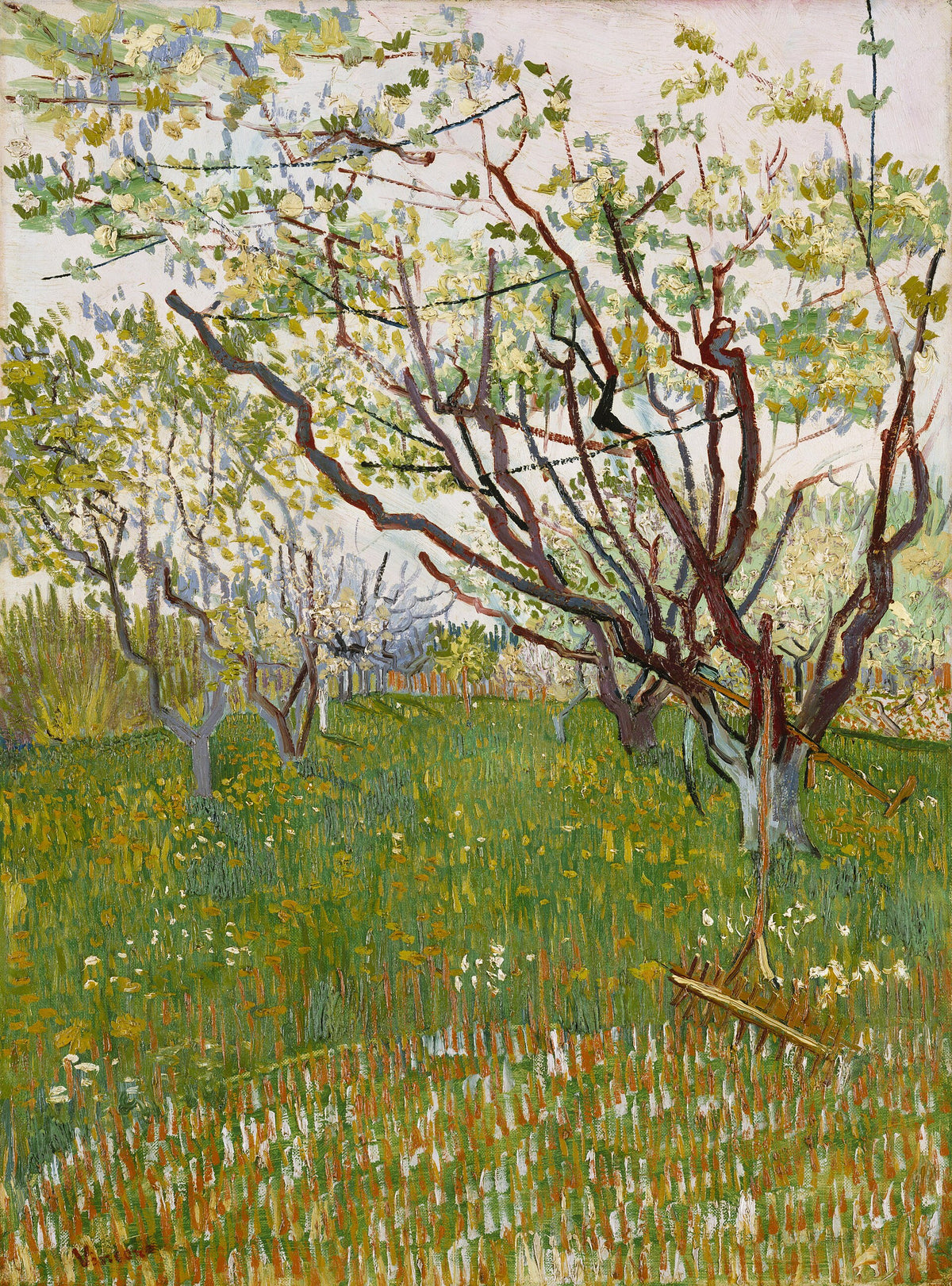 The Flowering Orchard by Vincent van Gogh
