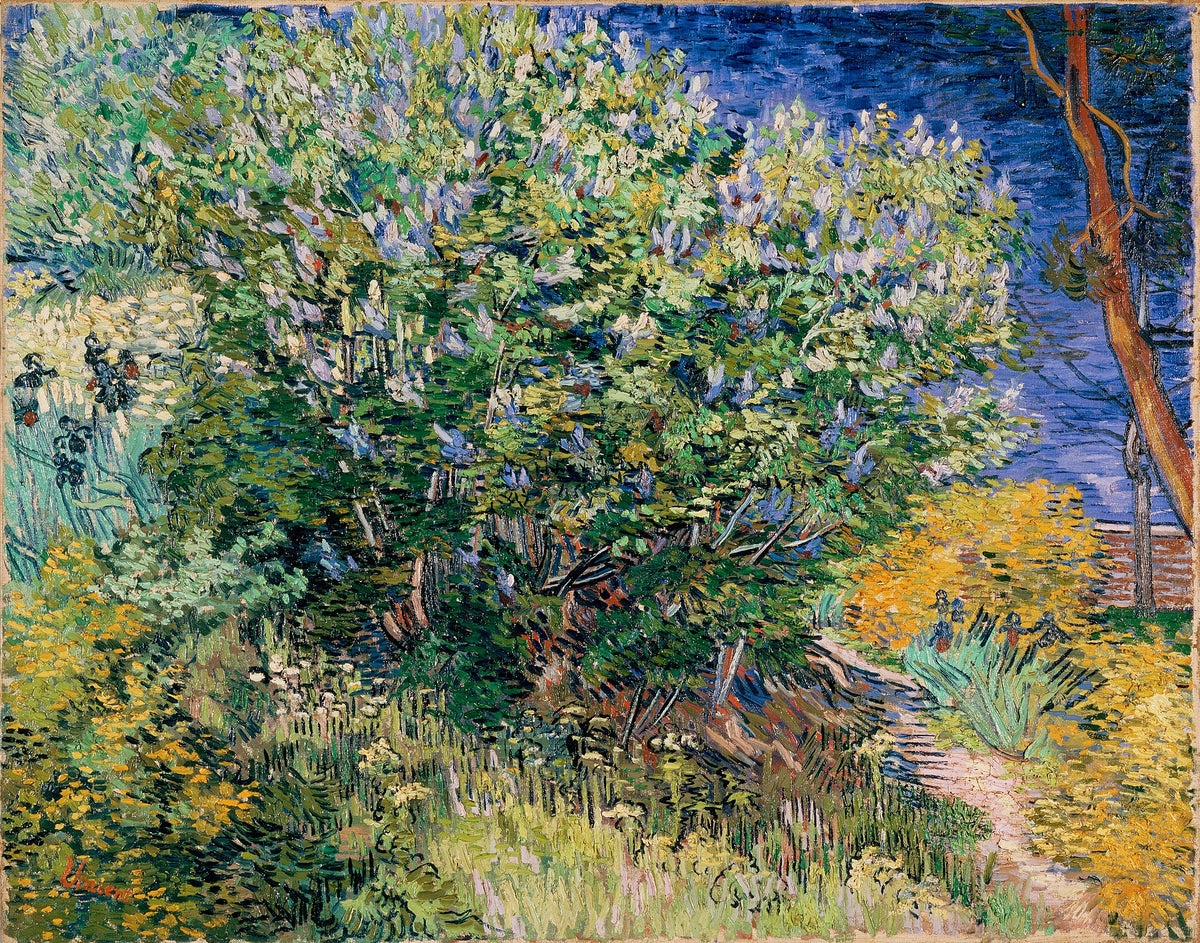 Lilac Bush by Vincent van Gogh