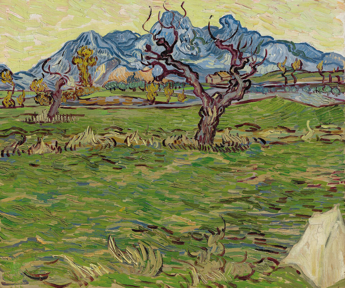 Landscape with Olive Tree and Mountains in the Background by Vincent van Gogh
