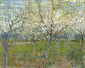 The pink orchard by Vincent van Gogh