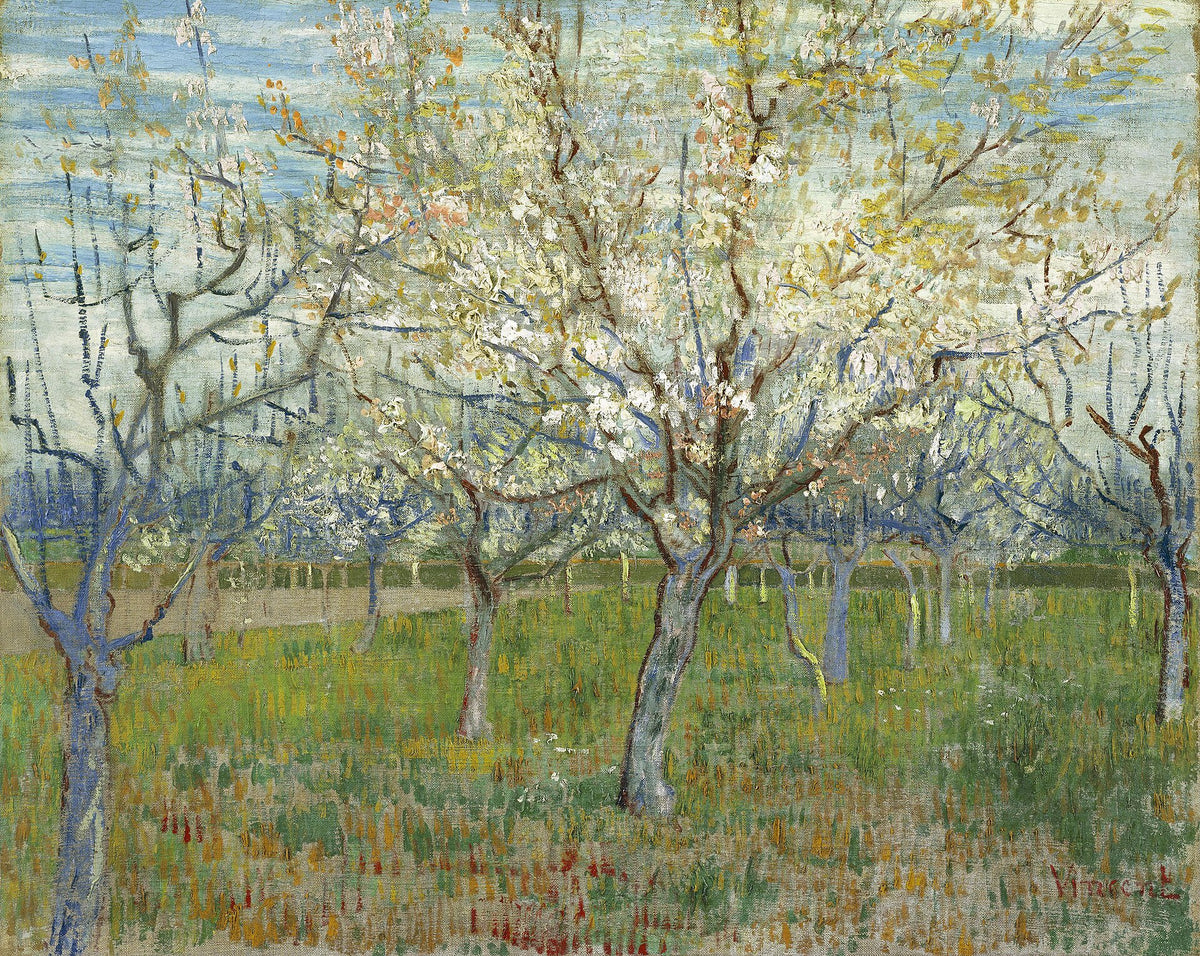The pink orchard by Vincent van Gogh