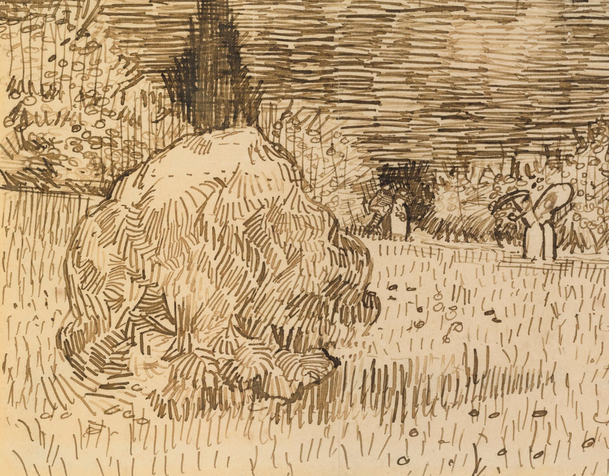 Busch in the Park at Arles - The garden of the poet II by Vincent van Gogh