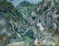 Ravine by Vincent van Gogh
