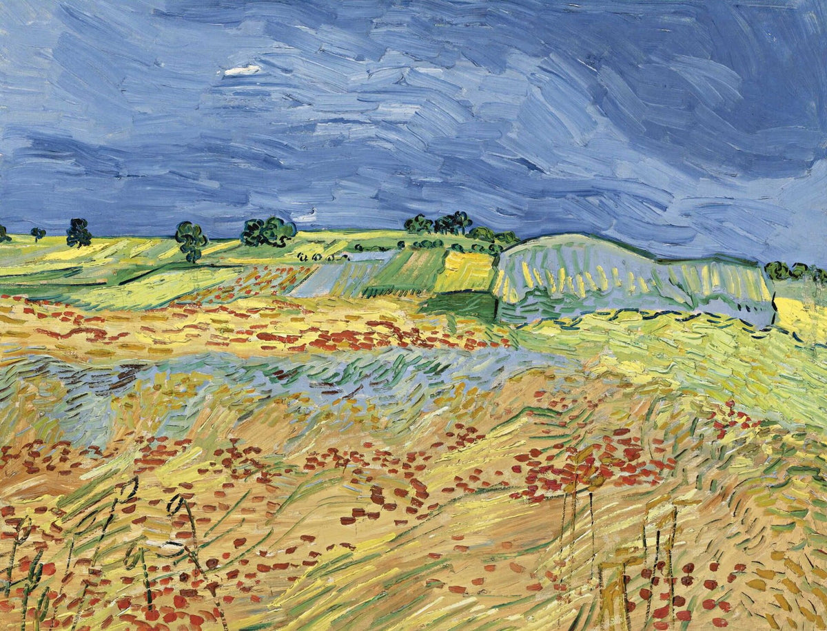 The Fields by Vincent van Gogh