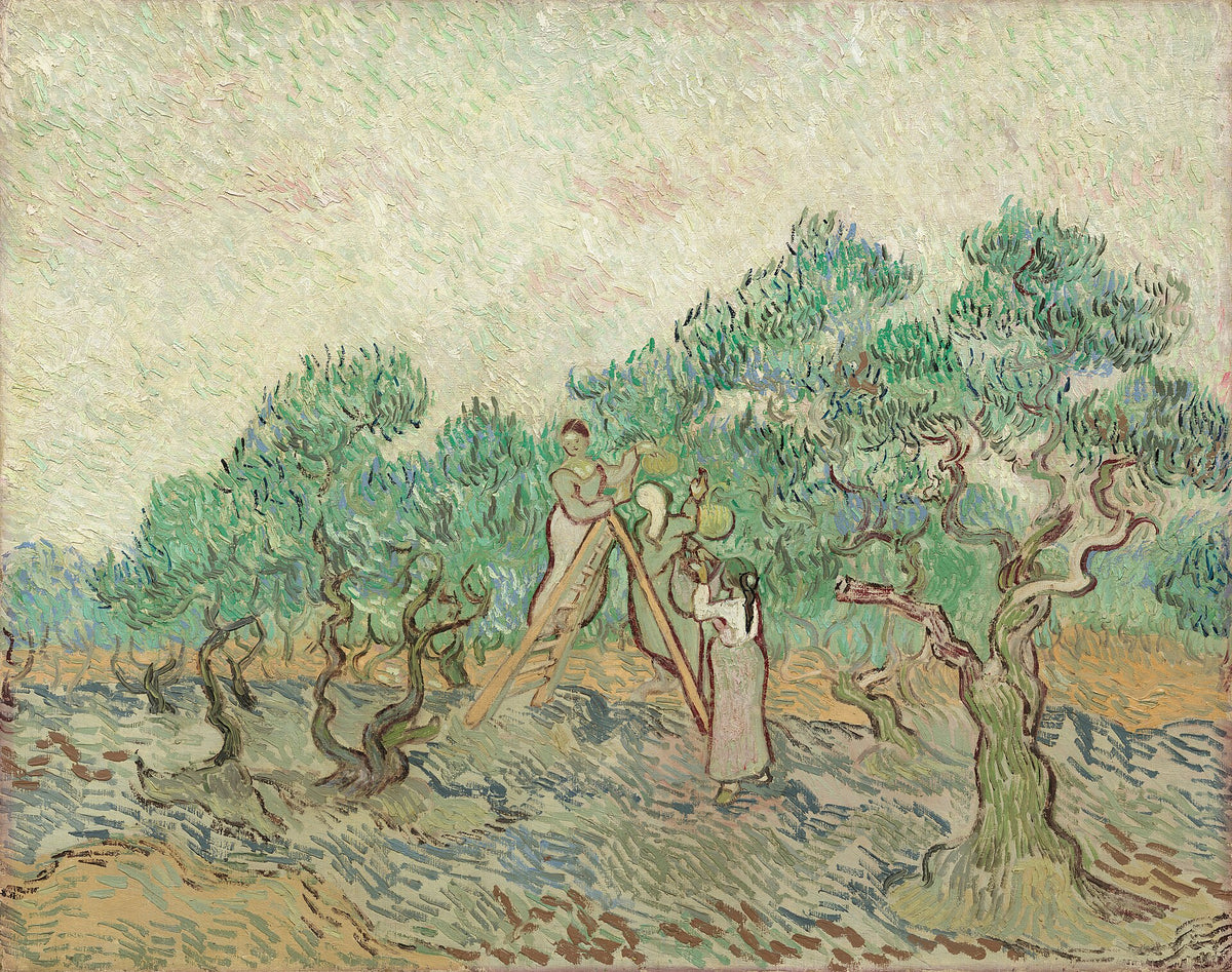 The Olive Orchard by Vincent van Gogh