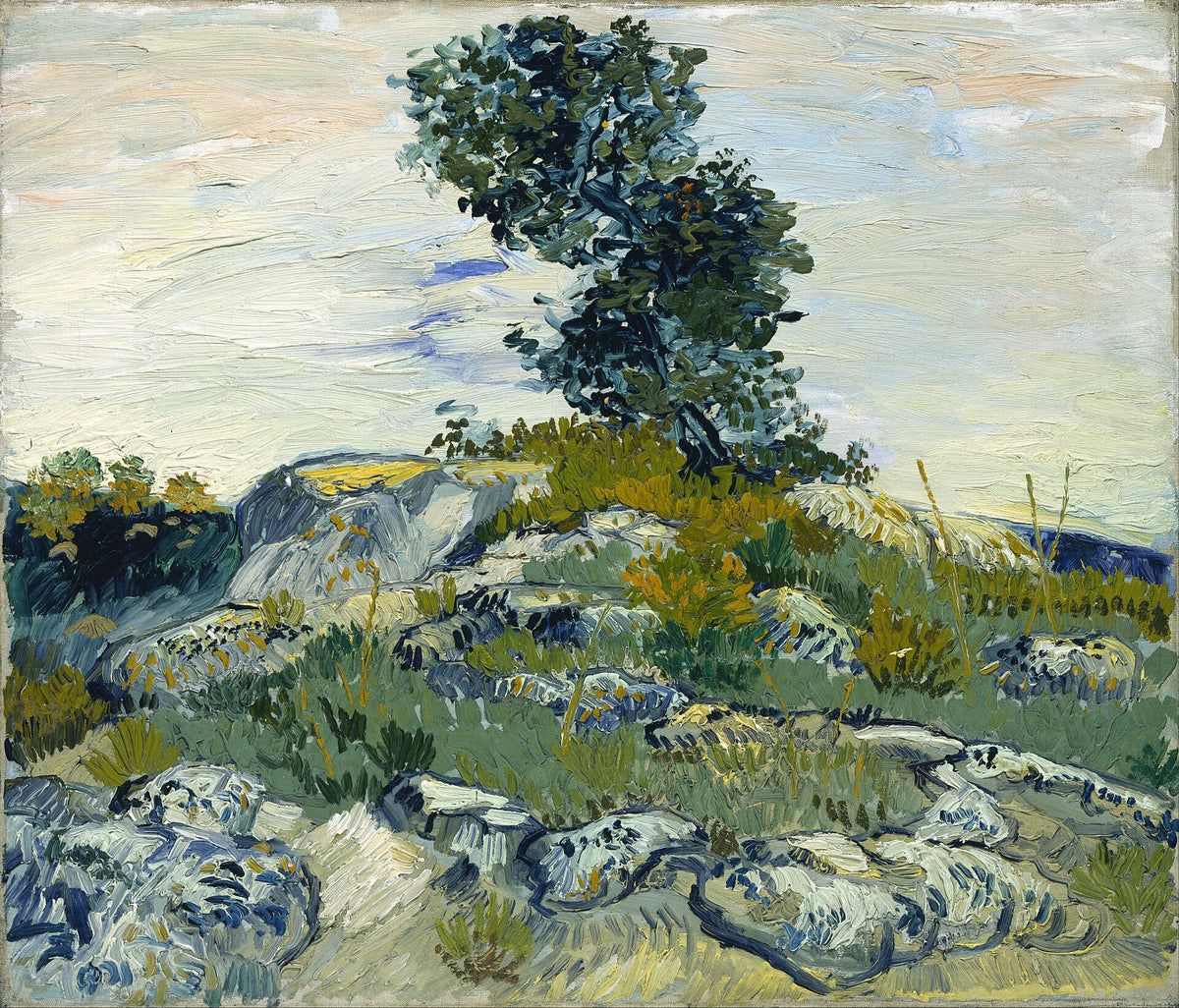 Rocks by Vincent van Gogh