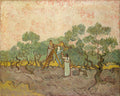 Women Picking Olives by Vincent van Gogh