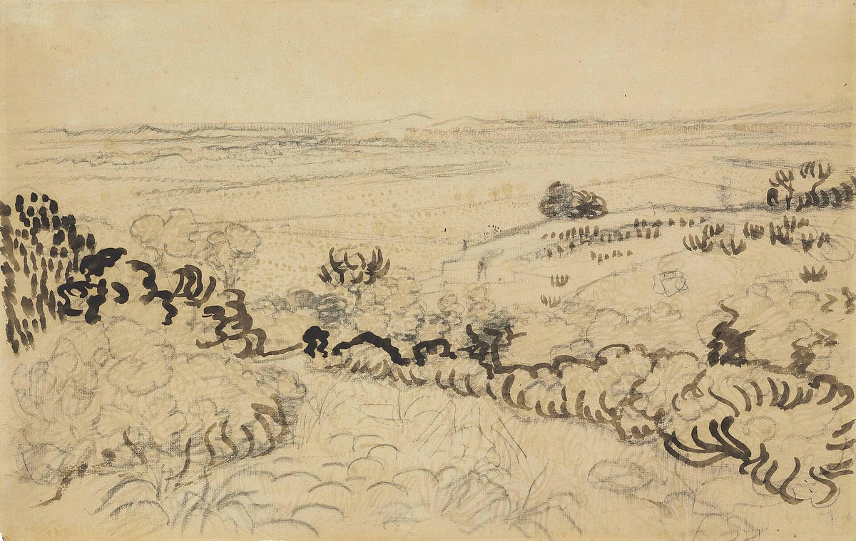 Vue de Montmajour / The Plain of La Crau by Vincent van Gogh