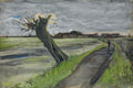 Pollard Willow by Vincent van Gogh