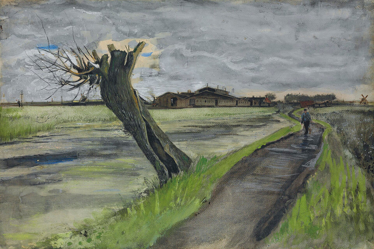 Pollard Willow by Vincent van Gogh