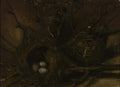 Birds' Nests by Vincent van Gogh