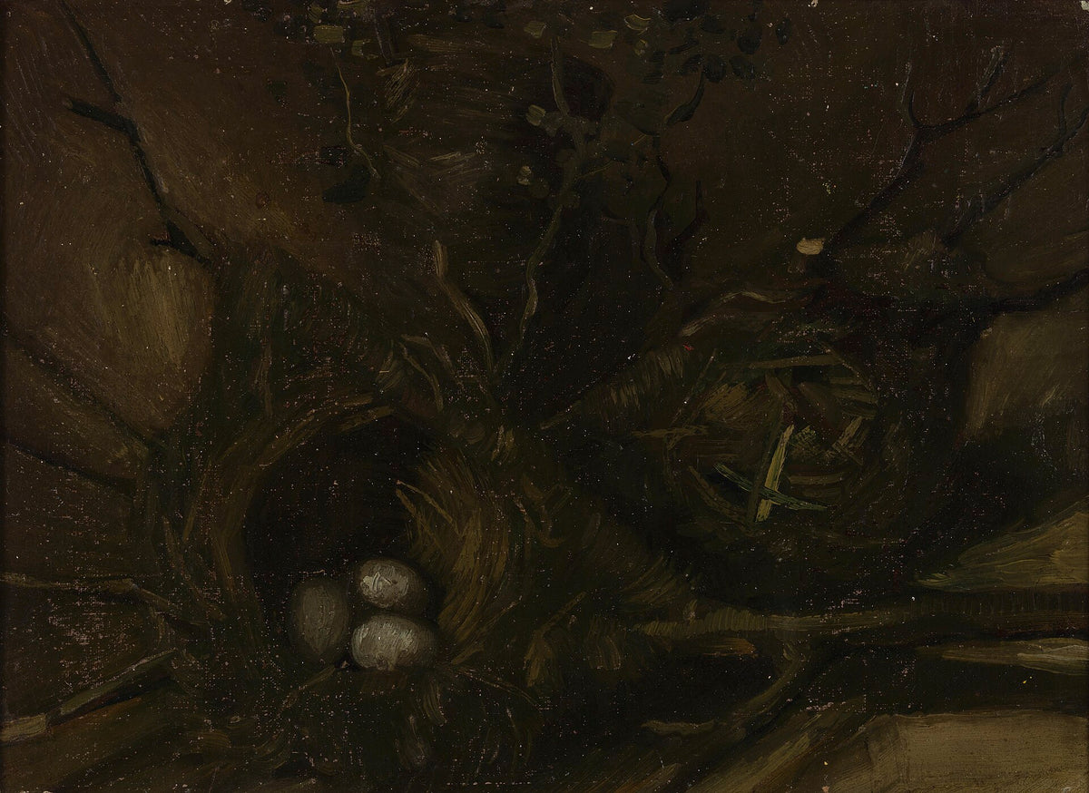 Birds' Nests by Vincent van Gogh