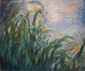 Yellow irises by Claude Monet
