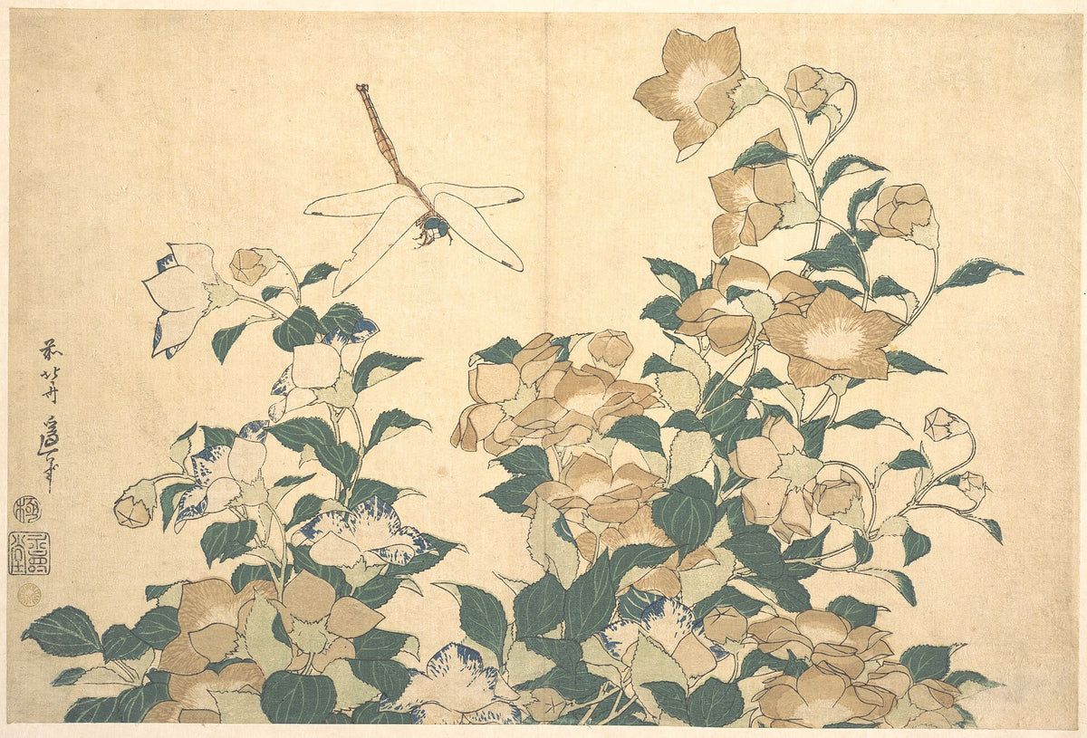Bell-Flower and Dragonfly, from an untitled series of large flowers by Katsushika Hokusai