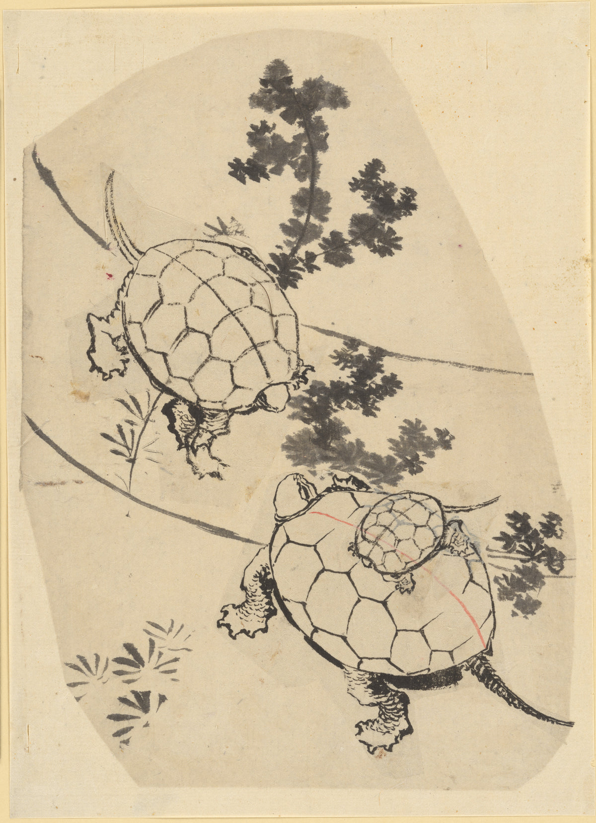 Turtles by Katsushika Hokusai
