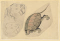 Two Sketches: One of a Turtle, the Other of Two Unidentified Objects by Katsushika Hokusai