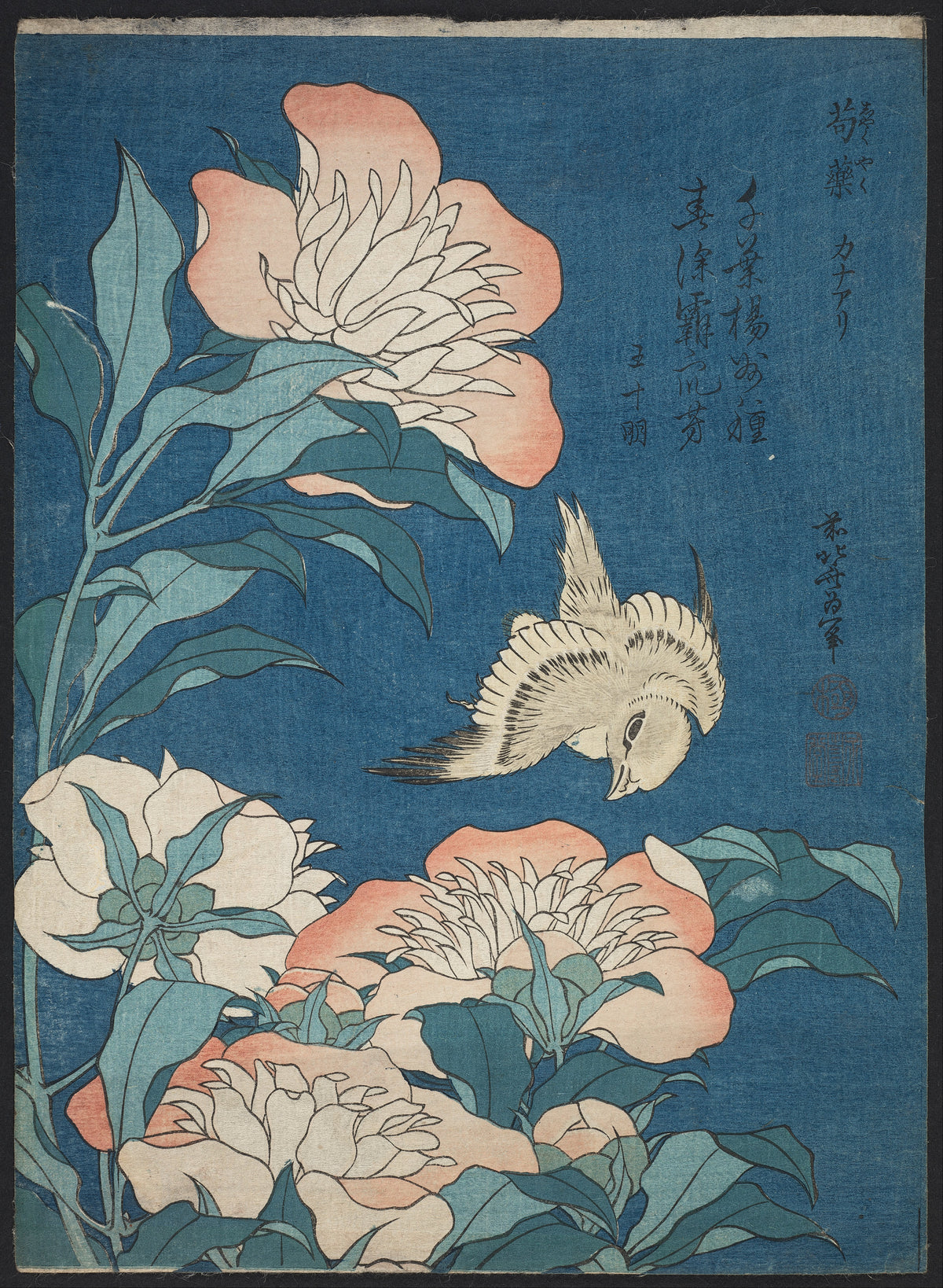 Canary and Peony, from an untitled series by Katsushika Hokusai