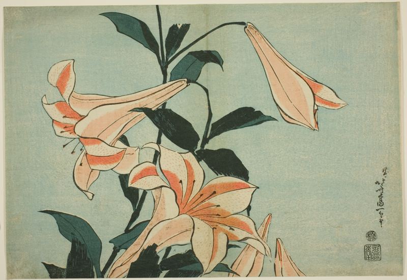Lilies, from an untitled series of Large Flowers by Katsushika Hokusai