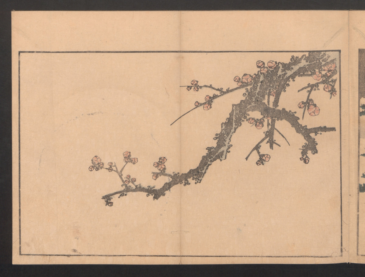 Blooming Plum Tree, from The Picture Book of Realistic Paintings of Hokusai (Hokusai shashin gafu) by Katsushika Hokusai