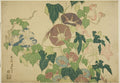 Morning Glories and Tree-frog, from an untitled series of Large Flowers by Katsushika Hokusai