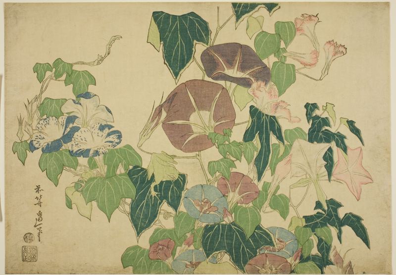 Morning Glories and Tree-frog, from an untitled series of Large Flowers by Katsushika Hokusai