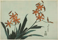 Orange Orchids, from an untitled series of flowers by Katsushika Hokusai