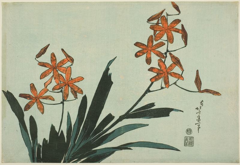 Orange Orchids, from an untitled series of flowers by Katsushika Hokusai
