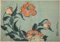 Poppies, from an untitled series of flowers by Katsushika Hokusai
