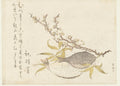 Two Flatfish and Plum by Katsushika Hokusai