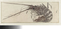 The Lobster by Katsushika Hokusai